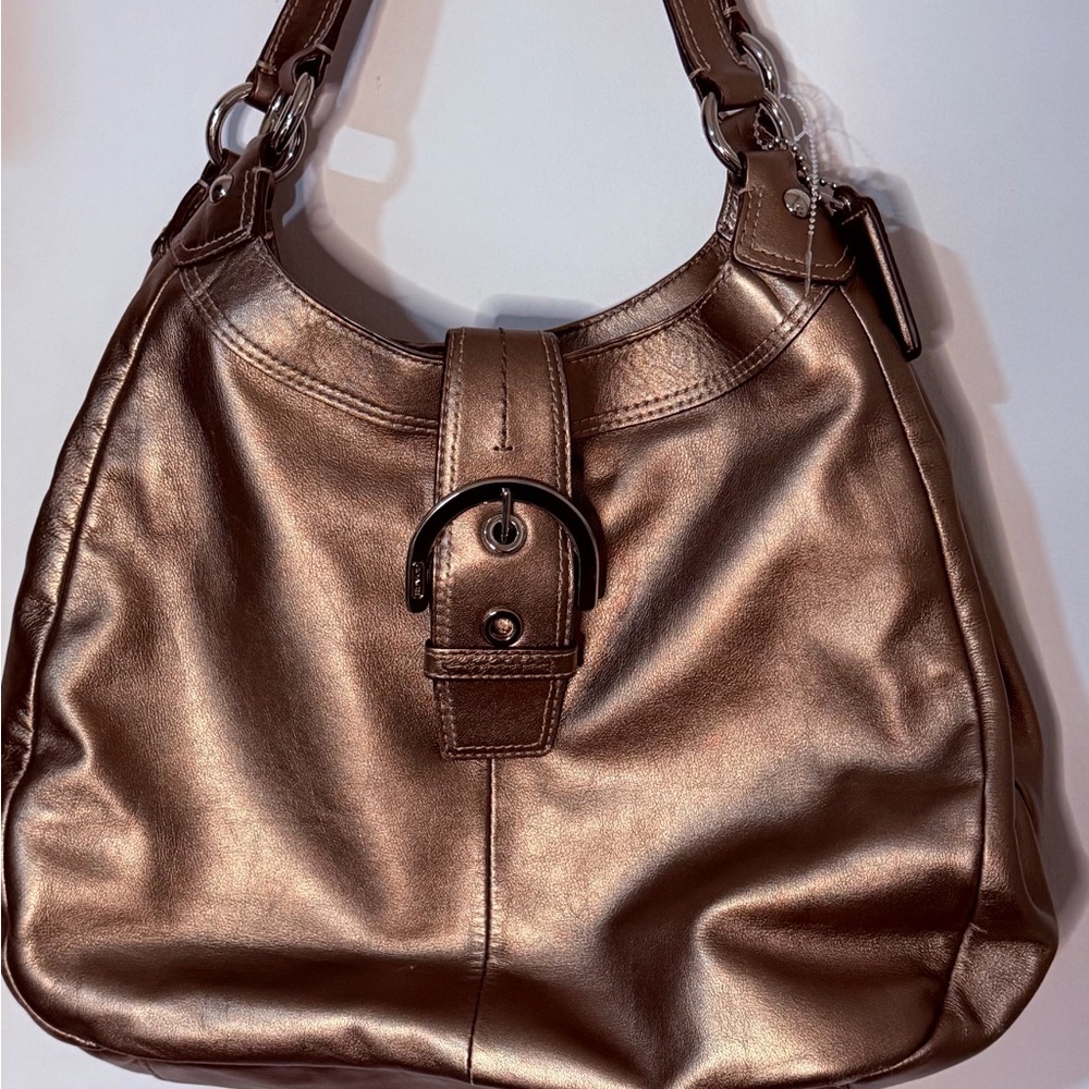 Coach Metallic Brown Shoulder Bag